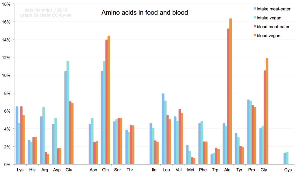 Amino Acids In Food And Blood Compressor 1024x603