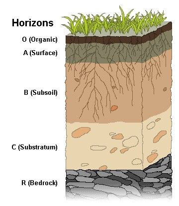 soil structure