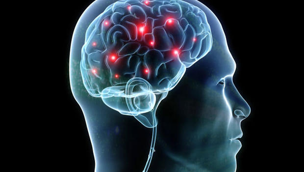 Synapse In Brain Min