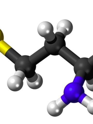 Does L-Methionine Have Health Benefits? 12 Scientific Papers Reviewed