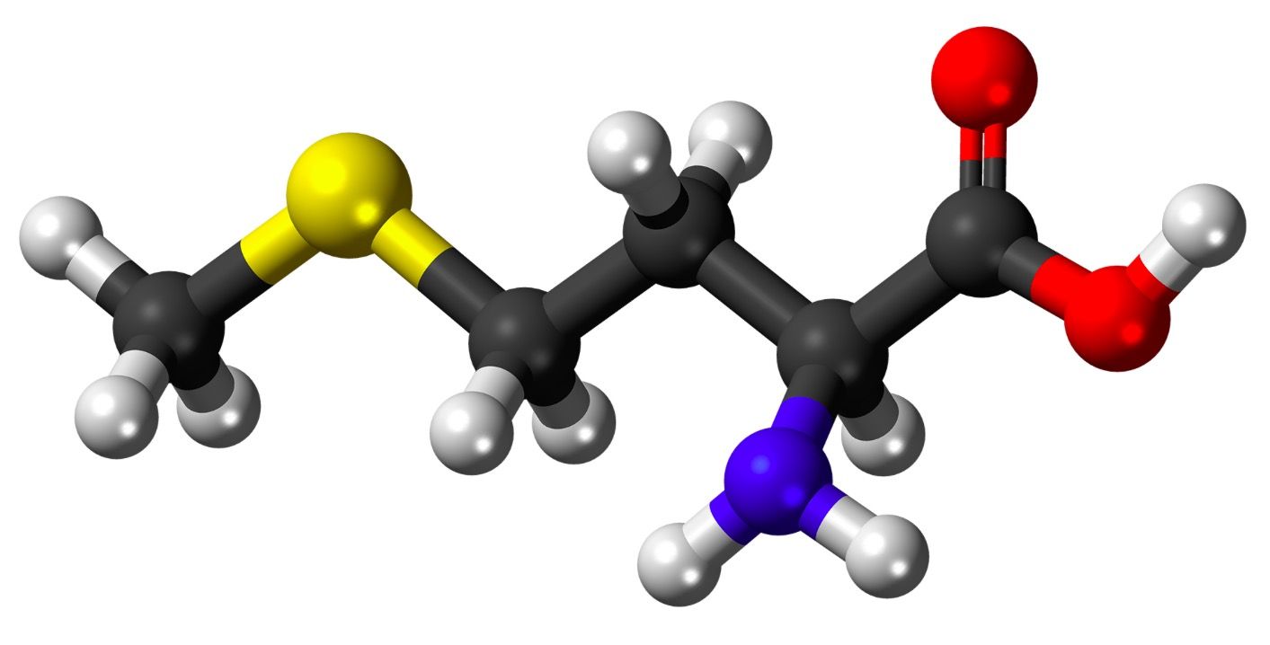 L-Methionine||||