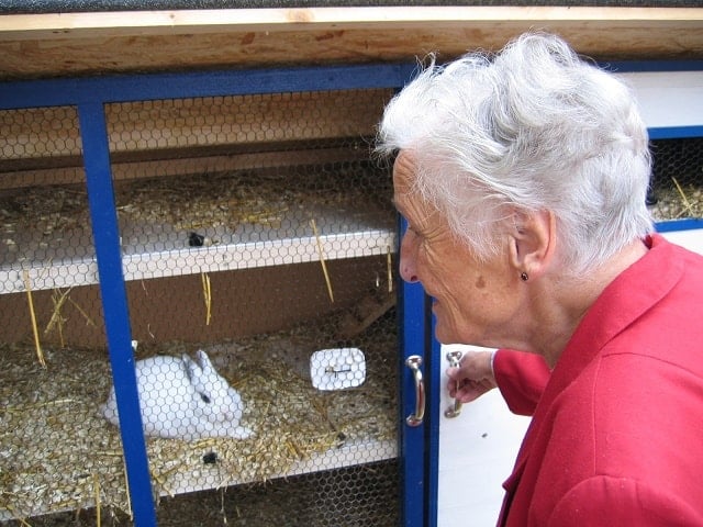 Woman Old Grandma Hare Rabbit Hutch Dependent 938406 Pxhere.com Min