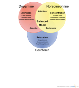 Dopamine Norepinephrine Serotonin 272x300