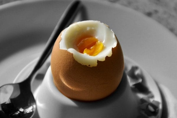 A boiled egg in an egg cup.