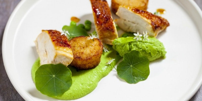 Chicken served with pea puree