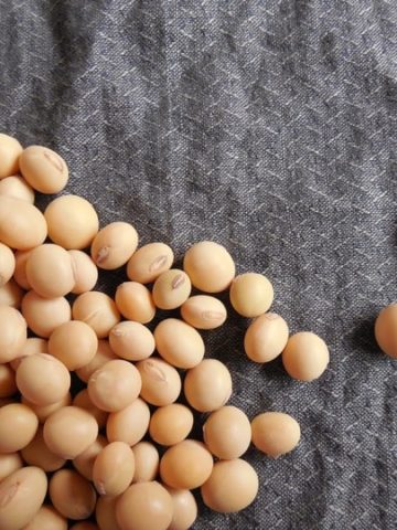 Does Soy Lecithin Have Benefits? It's Not the "Cure All" You Think It Is