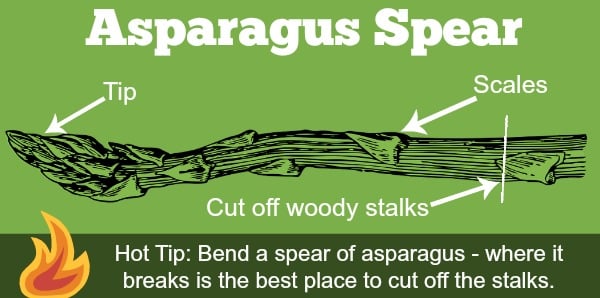 Useful asparagus diagram