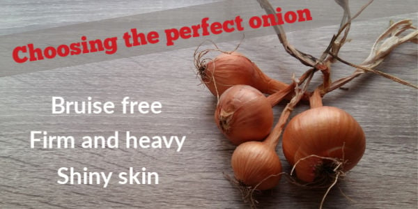 How to choose a good onion