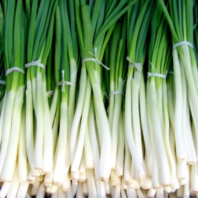Bunches of spring onions