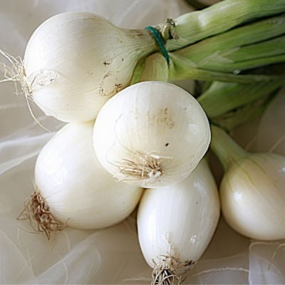 A bunch of white onions