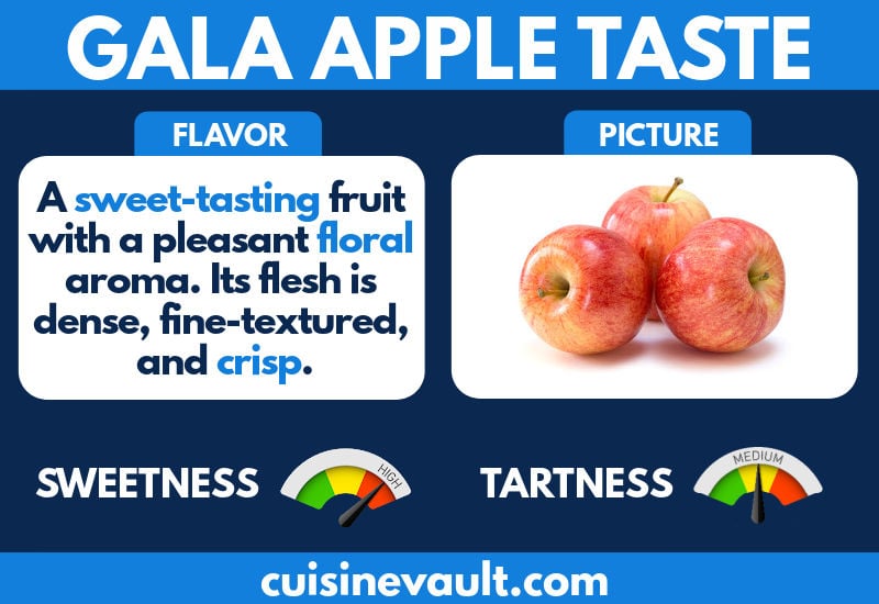 An infographic describing the taste of Gala apple.