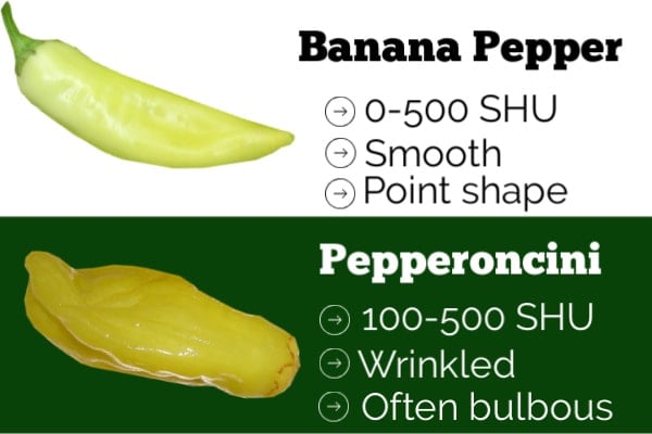 A comparison of banana pepper and pepperoncini