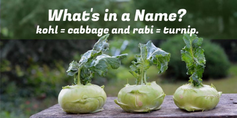 Where did the name kohlrabi come from?