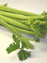 Does Eating Celery Have Health Benefits? 26 Research Papers Reviewed
