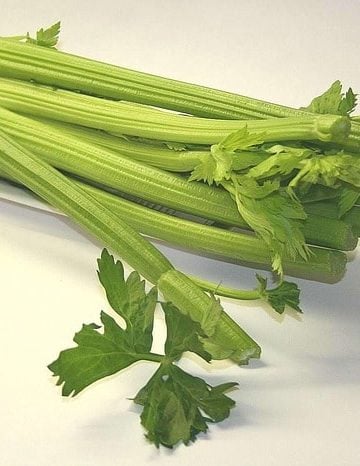 Does Eating Celery Have Health Benefits? 26 Research Papers Reviewed