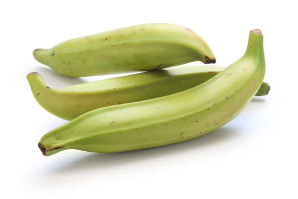 Plantains on an isolated white background