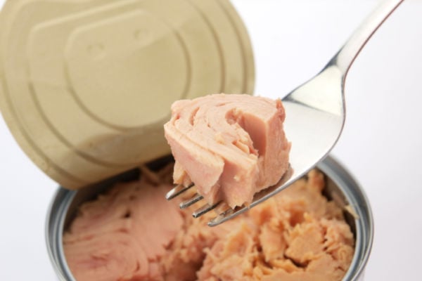 A fork holding a chunk of tuna.