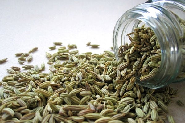 Fennel seeds