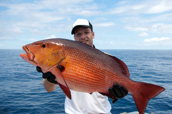 Holding a red snapper on the boat