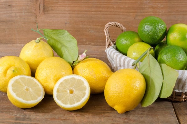 Lemons on a bench