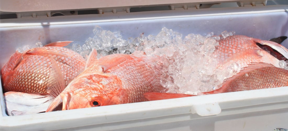 What Does Red Snapper Taste Like?