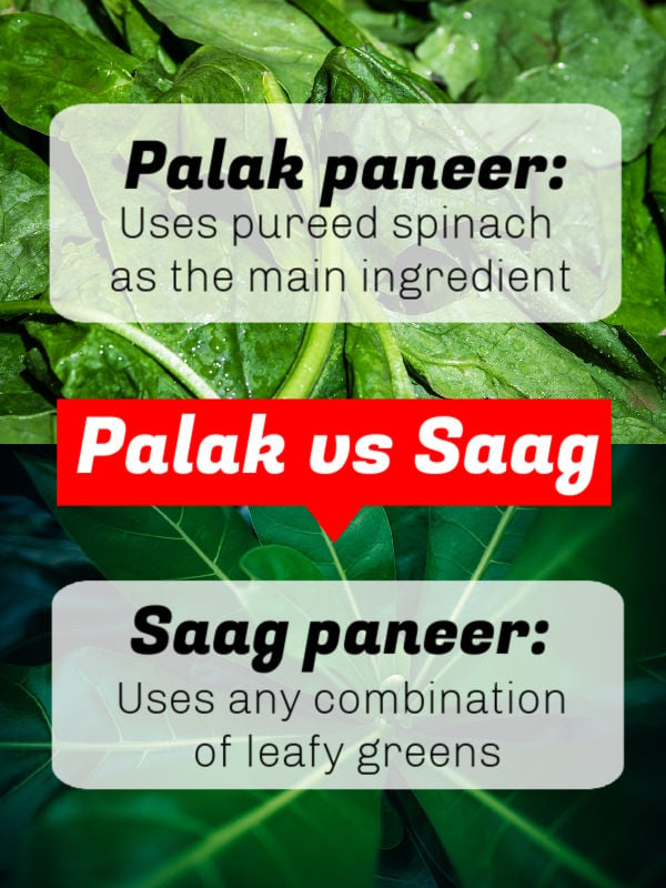 Saag paneer vs palak paneer