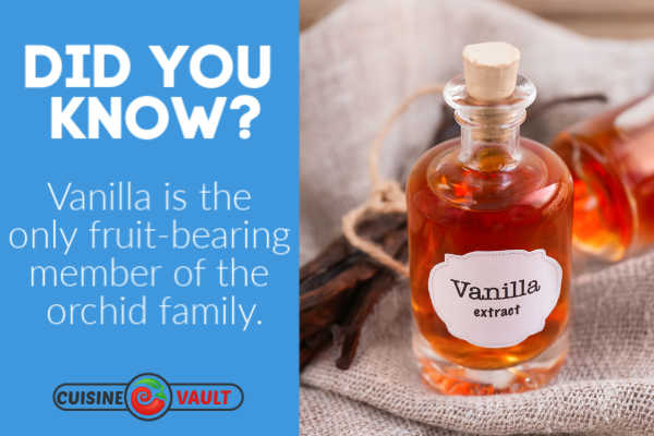 A fun fact about vanilla extract.