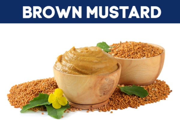 Brown mustard in a bowl