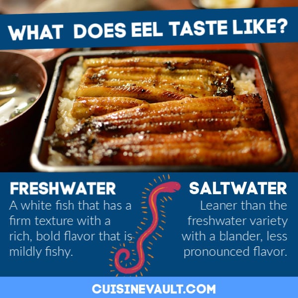 Comparing the taste of freshwater and saltwater eel.