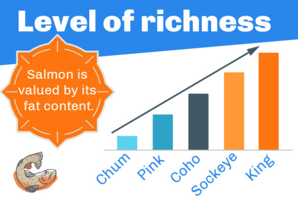 How rich is salmon