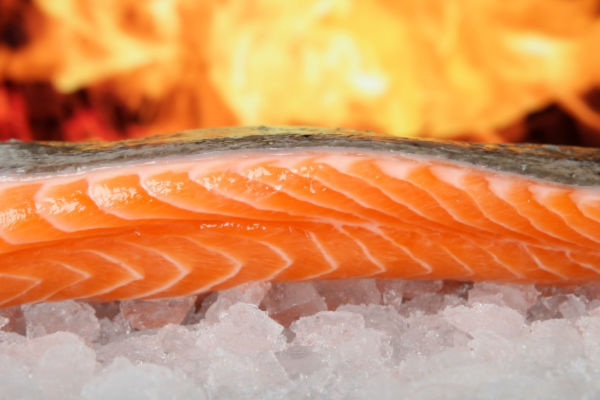 Raw salmon