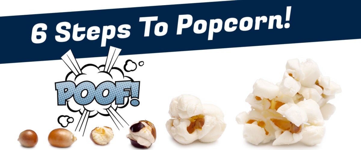 Stages of popcorn popping