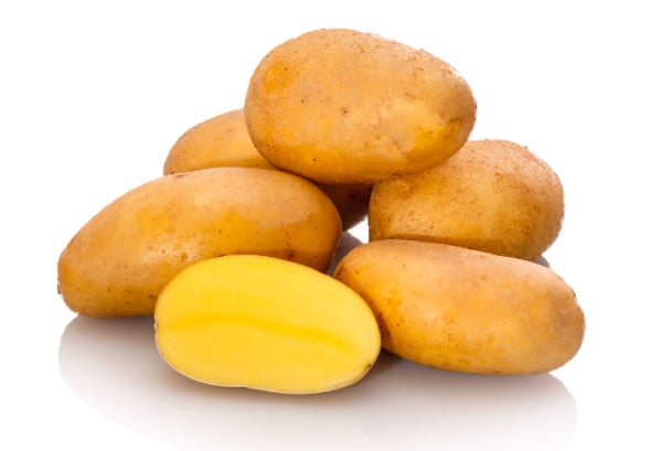 A pile of waxy potatoes on white background