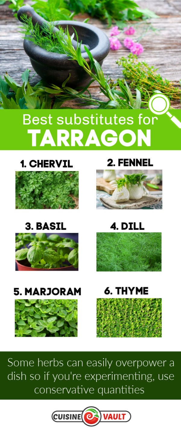 An infographic showing the best tarragon substitutes