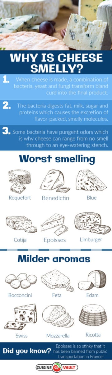 Why Does Cheese Smell Bad? [Infographic]