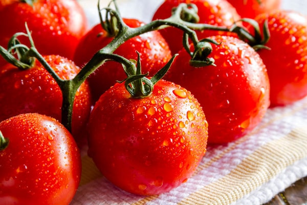 A bunch of tomatoes on a tea towel