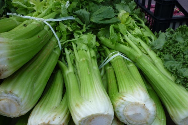 how-to-cut-celery