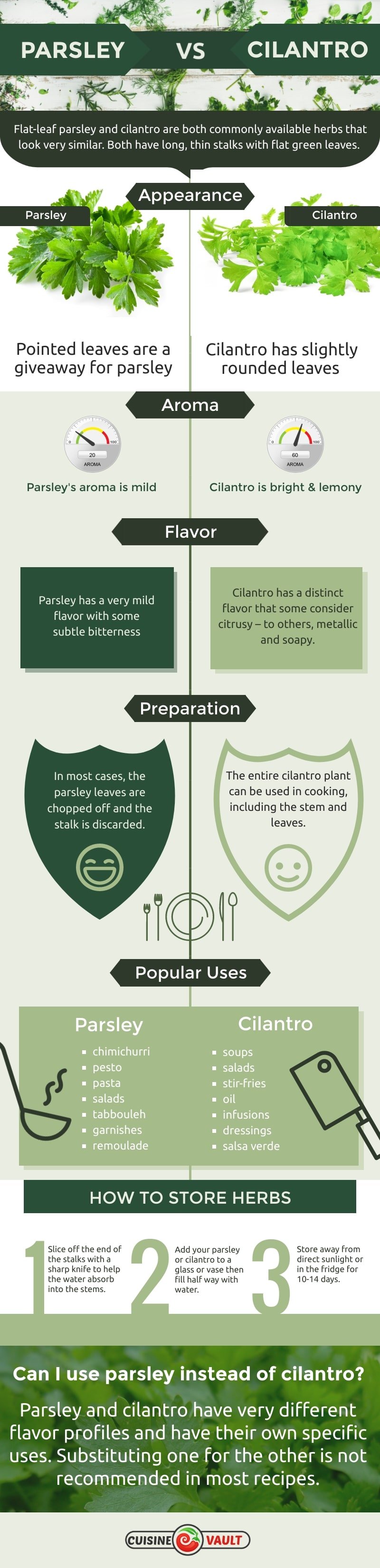 An infographic showing the differences between parsley and cilantro