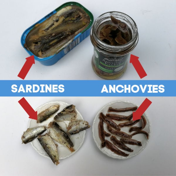Anchovies and sardines