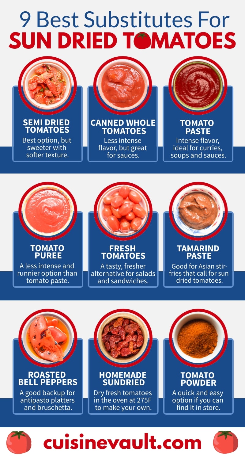 An infographic showing 9 replacements for sun dried tomatoes