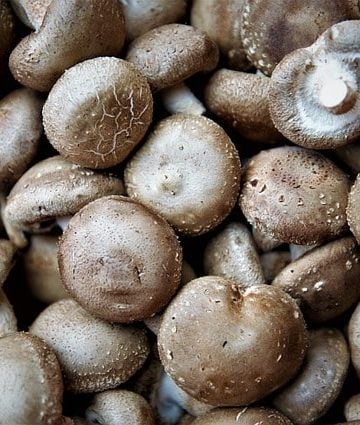 Is Eating Shiitake Mushrooms Good For You? Here's The Research