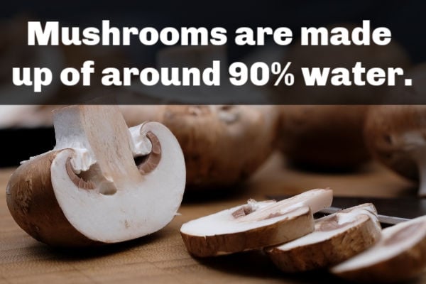 Mushrooms are high in water content.