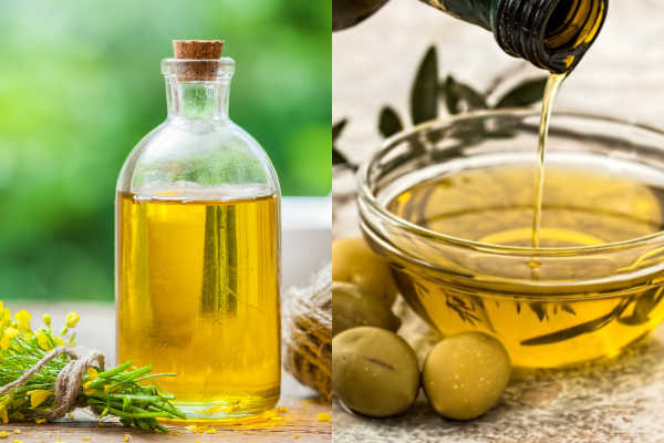 Olive oil vs canola oil