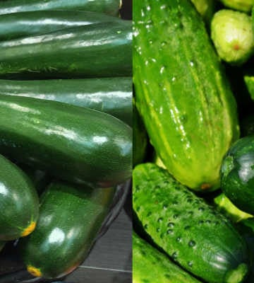 Zucchini Vs Cucumber – What's The Difference?
