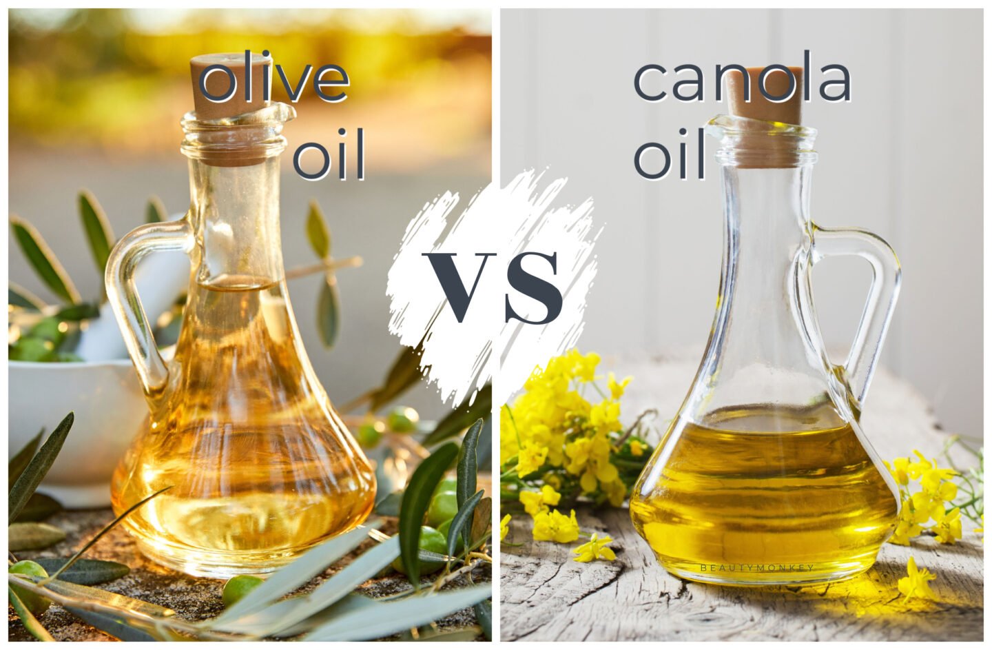 olive oil versus canola oil