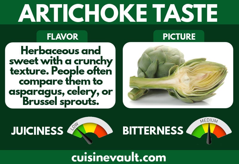 Artichoke taste infographic