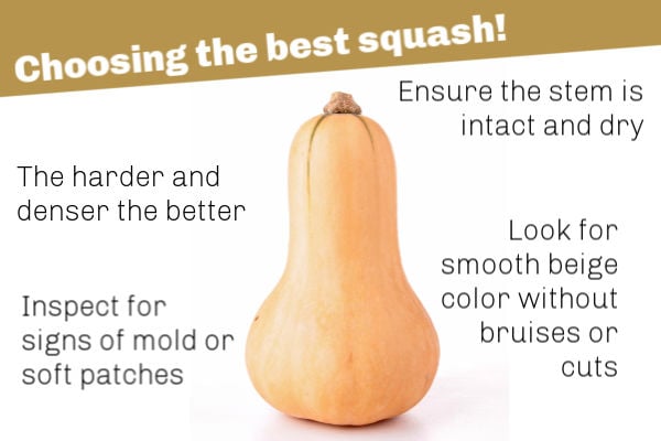 How to choose a squash