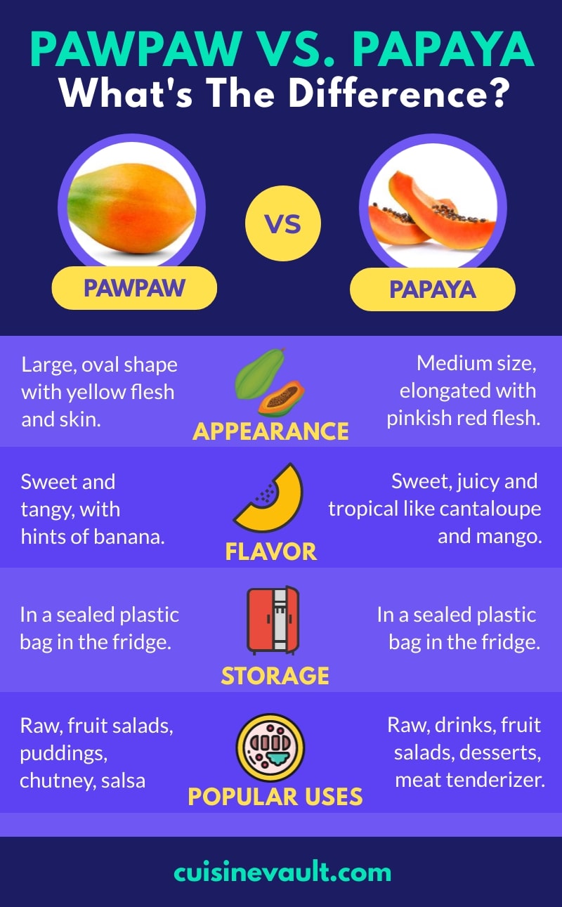 Pawpaw Vs Papaya Infographic