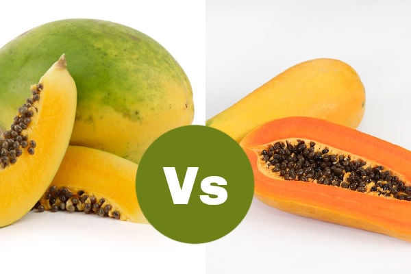 Pawpaw vs papaya