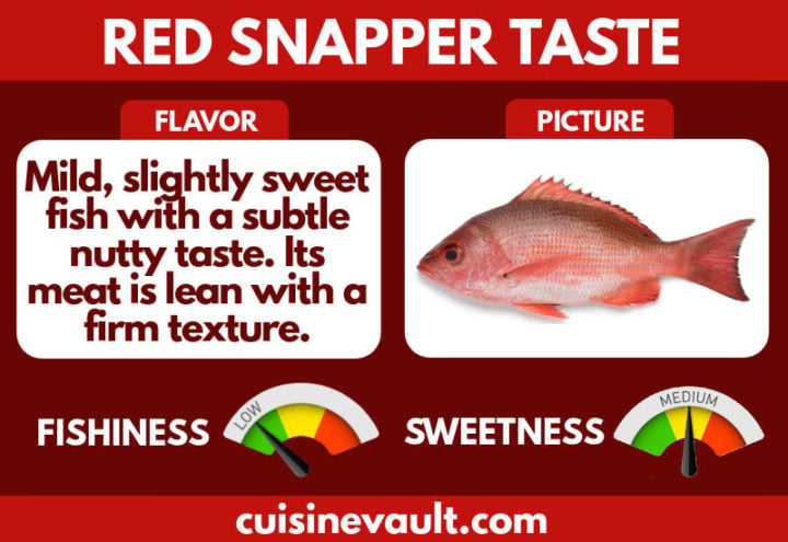 what-does-red-snapper-taste-like